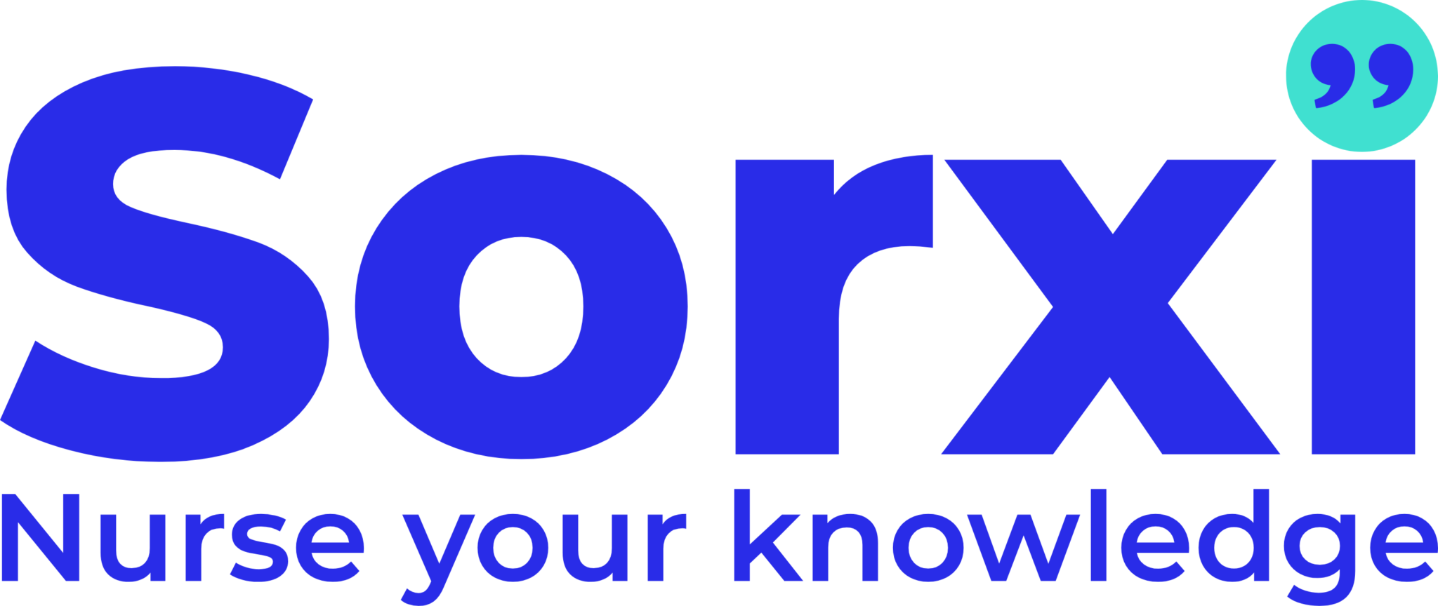 Sorxi Logo